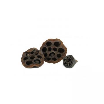 Ascunzatoare naturala CeramicNature Lotus pods