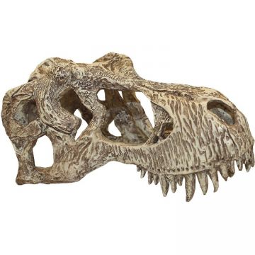 Decor terariu craniu de dinozaur Komodo T-Rex Skull L
