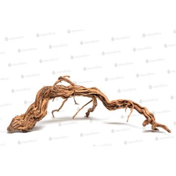 Lemn Aq귬o Curl Wood S 30-59 cm