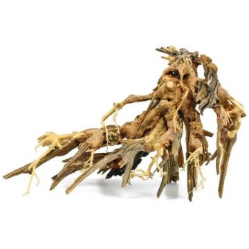 Lemn Octopus Wood Bonsai L