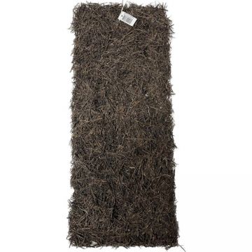 Panou fundal terariu CeramicNature Xaxim panel 50x20cm