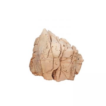 Piatra Hobby Crusted Rock M