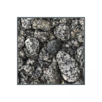 Pietris Dupla Ground Nature Dalmatiner Stone 10-25 mm 2Kg