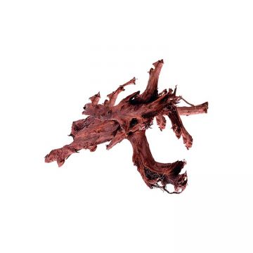 Radacina de mangrove Hobby XXXL 90-110 cm