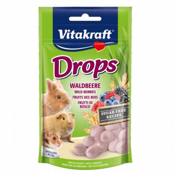 Recompense pentru rozatoare cu fructe de padure Vitakraft Drops 75 gr