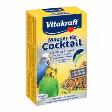 Supliment pentru perusi Vitakraft Cocktail pentru pene 200 gr