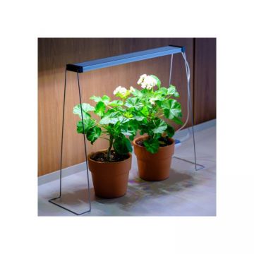 Twinstar spring wire 35 cm set