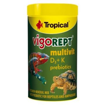 VIGOREPT MULTIVIT 100ml/ 70g, Tropical