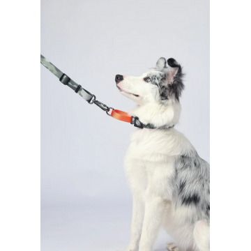 10838599 WILD Jungle Collar L