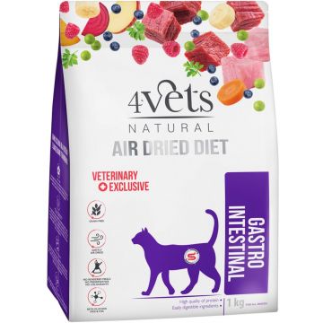 4VETS Natural Hrană uscată pentru pisici, Gastro Intestinal - AIR DRIED 1kg