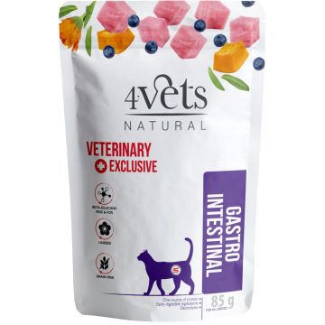 4VETS Natural Plic pentru pisici, Gastro Intestinal 85g