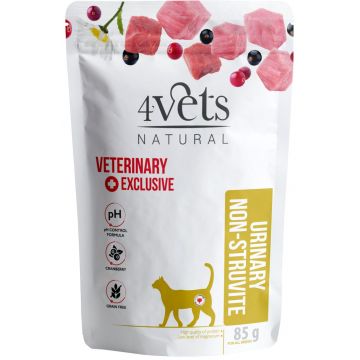 4VETS Natural Plic pentru pisici, Urinary Non-Struvit 85g