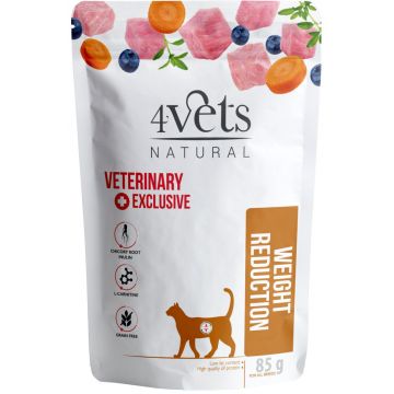 4VETS Natural Plic pentru pisici, Weight Reduction 85g