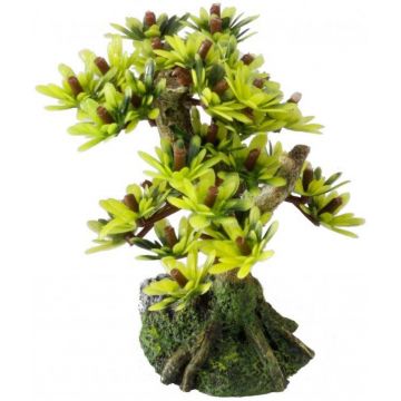 AQUA D'ELLA Decoraţiune pentru acvarii Bonsai M 15cm