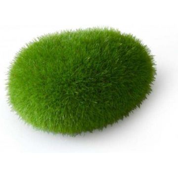 AQUA D'ELLA Decoraţiune pentru acvarii Muşchi din răşină 11,5x9x6cm