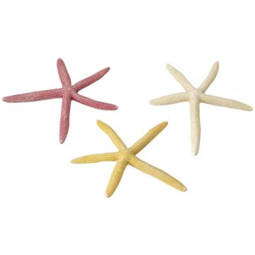AQUA D'ELLA Decoraţiune pentru acvarii Starfish 18,5cm, diverse culori