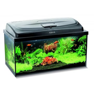 AQUAEL Acvariu echipat AQUA4START 60x30x30cm, 11W, Led 54L