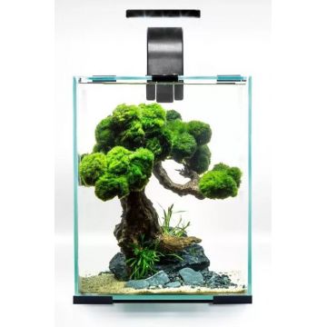 AQUAEL Acvariu echipat SHRIMP SET Day&Night, Negru