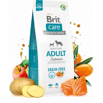 BRIT CARE Grain-free Adult, cu Somon şi Cartofi