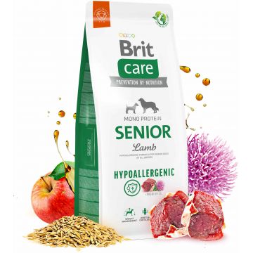 BRIT CARE Hypoallergenic SENIOR, cu Miel şi Orez