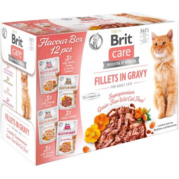 BRIT CARE Pachet de plicuri pentru pisici 12x85g