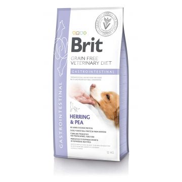 BRIT VD Gastrointestinal câini, reducerea tulburărilor intestinale de absorbţie