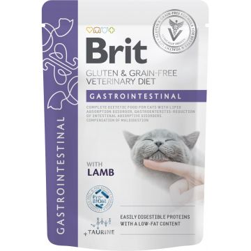BRIT VD Gastrointestinal Plic pentru pisici, tulburări gastrointestinale 85g