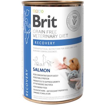 BRIT VD Recovery Conservă pentru câini şi pisici 400g