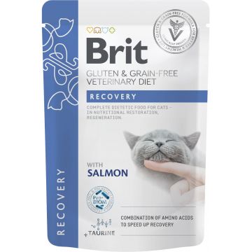 BRIT VD Recovery, Plic pentru pisici, recuperare, refacere nutritivă 85g