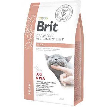 BRIT VD Renal pentru pisici, susţinerea funcţiei renale