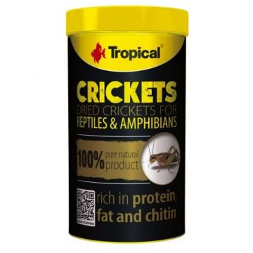 Greieri uscati pentru reptile si amfibieni, Tropical, 10G