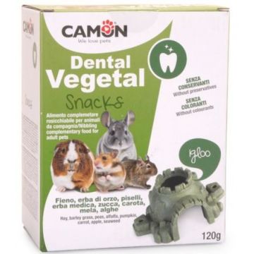 CAMON Recompense pentru rozătoare Dental Vegetal Igloo, 120g