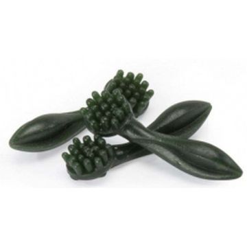 CAMON Veggie Recompense pentru câini Periuţă