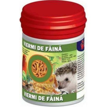 EXOTIC-K Viermi de Faina Uscati 400ml