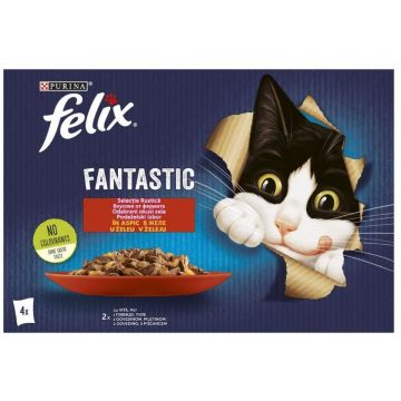 FELIX Fantastic Pachet plicuri pentru pisici, cu Pui şi Vită 4x85g
