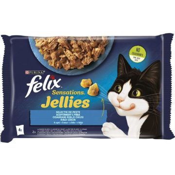 FELIX Sensations Gelees plicuri pentru pisici, somon şi păstrăv, 4x85g