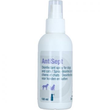 Antisept 100 ml