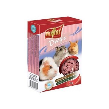 Dropsuri cu Fructe de Padure pentru Rozatoare si Iepuri 75 g