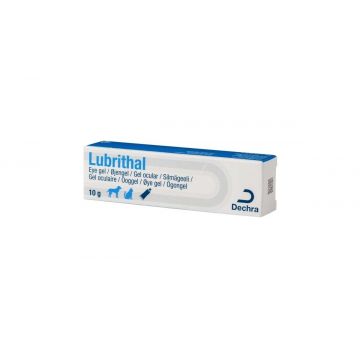 Lubrithal 10 g