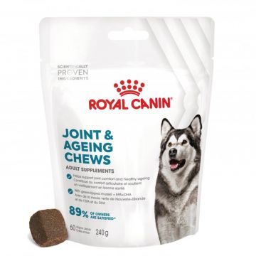 Royal Canin Adult Supliment pentru articulatii, 240g