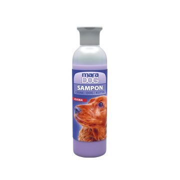 Sampon Maradog Jojoba