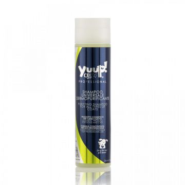 Sampon Yuup Professional Purificator - 250ml