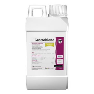Supliment pentru probleme gastrice Vet Expert Gastrobione, 500 ml