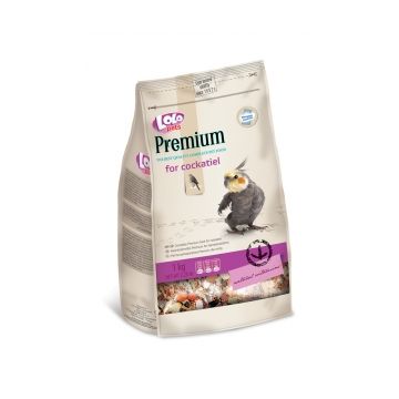 Hrana Premium papagal mare