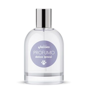 Parfum ipnotic - 100ml