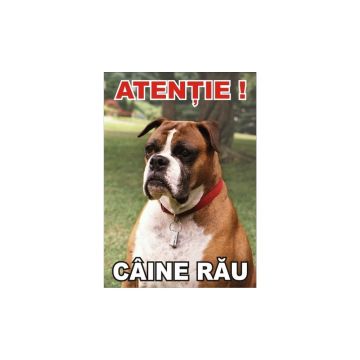 Placuta caine rau Boxer