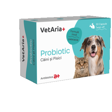 Probiotice pentru caini si pisici VetAria Probiotic, 30 capsule