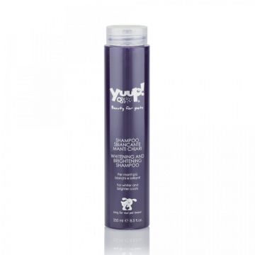 Sampon Yuup Home White - 250ml