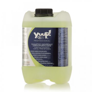Sampon Yuup Professional Purificator - 5L