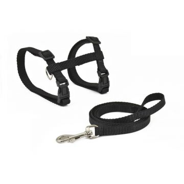 Set lesa si ham Nayeco - Pisica - Negru